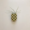 Mini Magnetic Planter Pot - Checkered