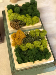 Modern Moss Art - Square