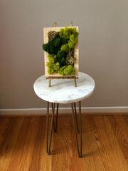 Modern Moss Art - Rectangle