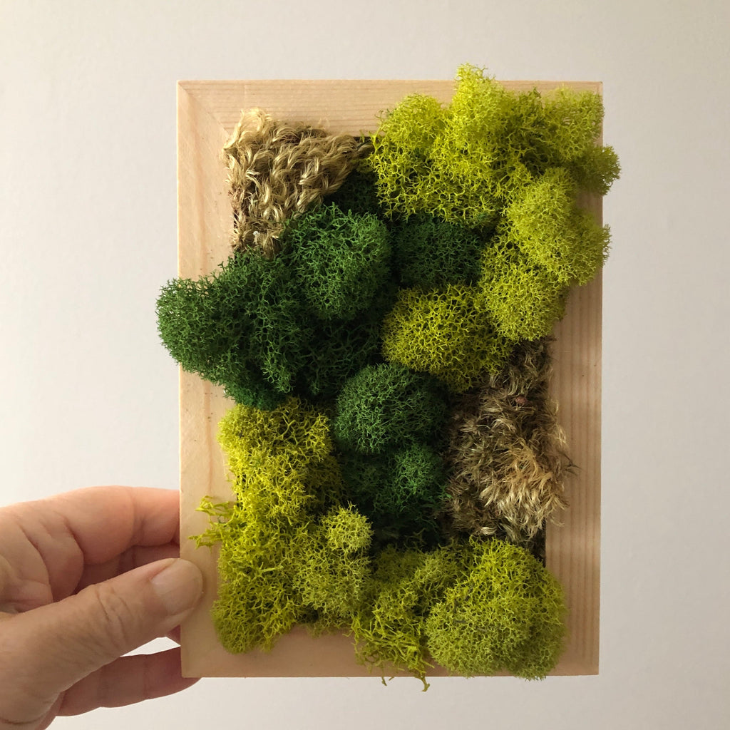 Modern Moss Art - Rectangle