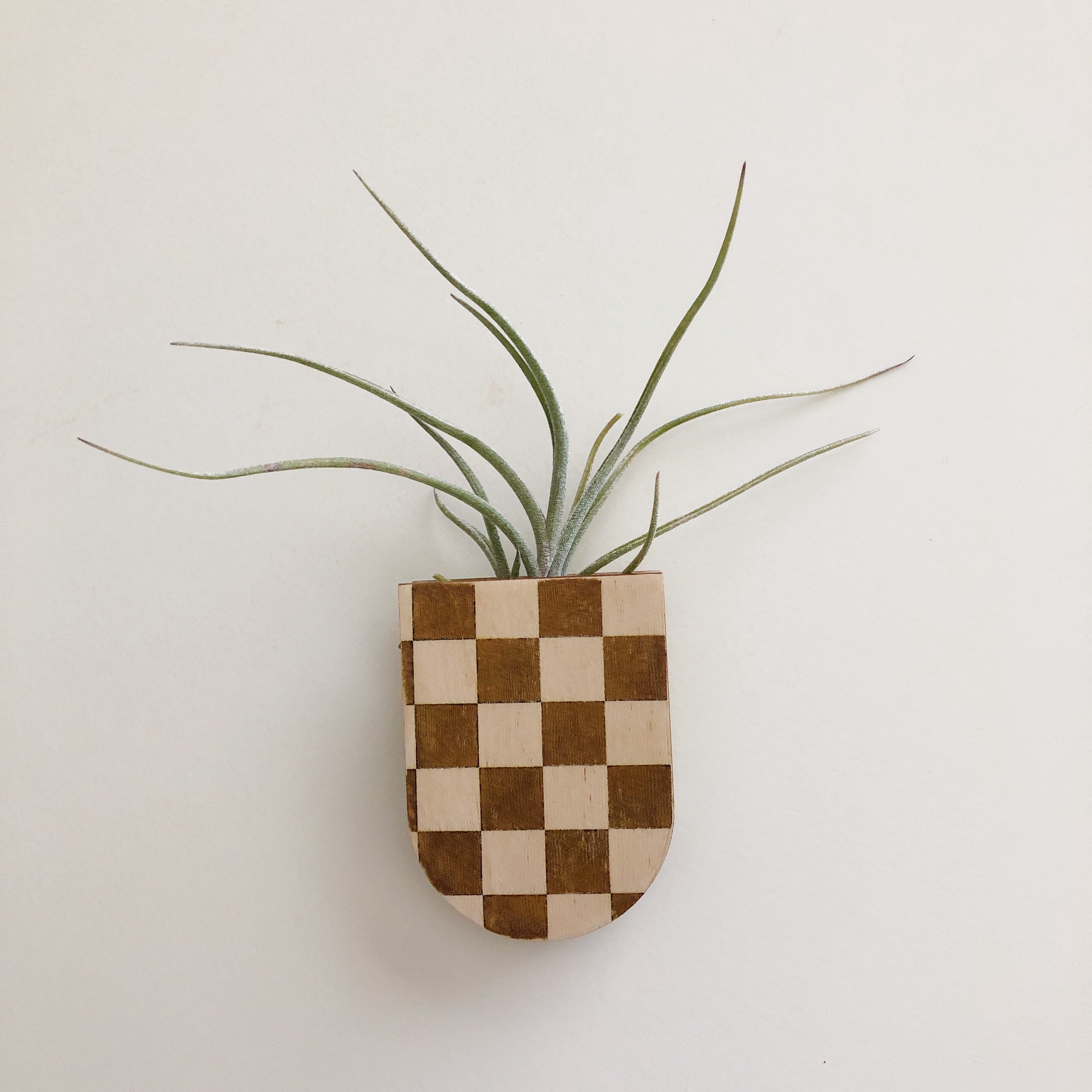 checkered planter pot Mini Magnetic Planter Pot