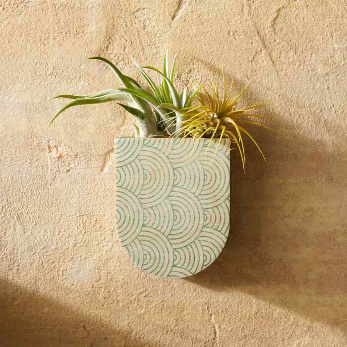 plant wall pocket hanger Mod Curves Pocket Wall Planter Vase – stacy wong