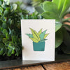 Everyday Cards - Succulents