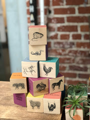 Zodiac Blocks - Vintage Animals