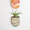Riptide Pocket Wall Planter Vase