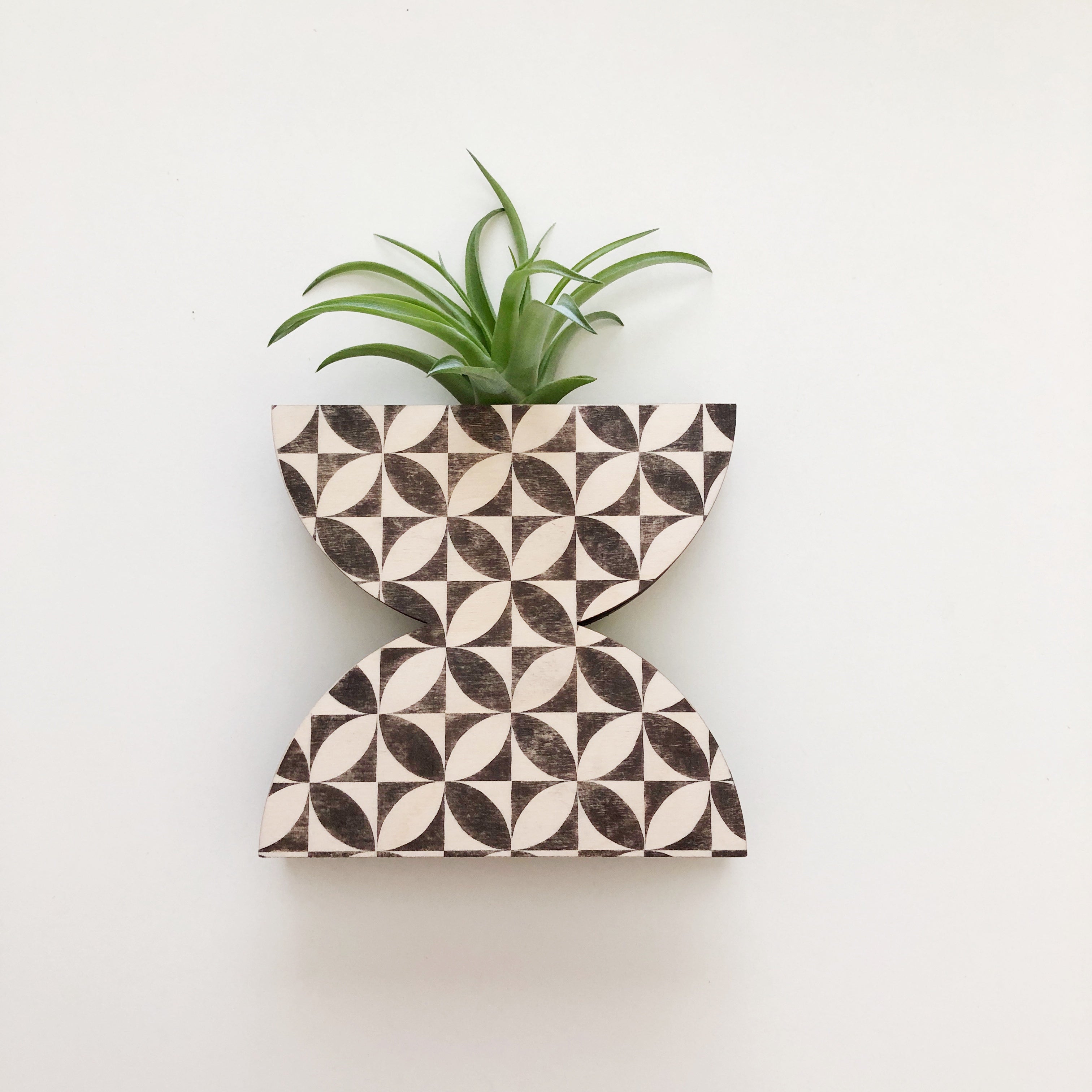 double pot planter Double Dome Petals Wall + Tabletop Vase Planter – stacy wong