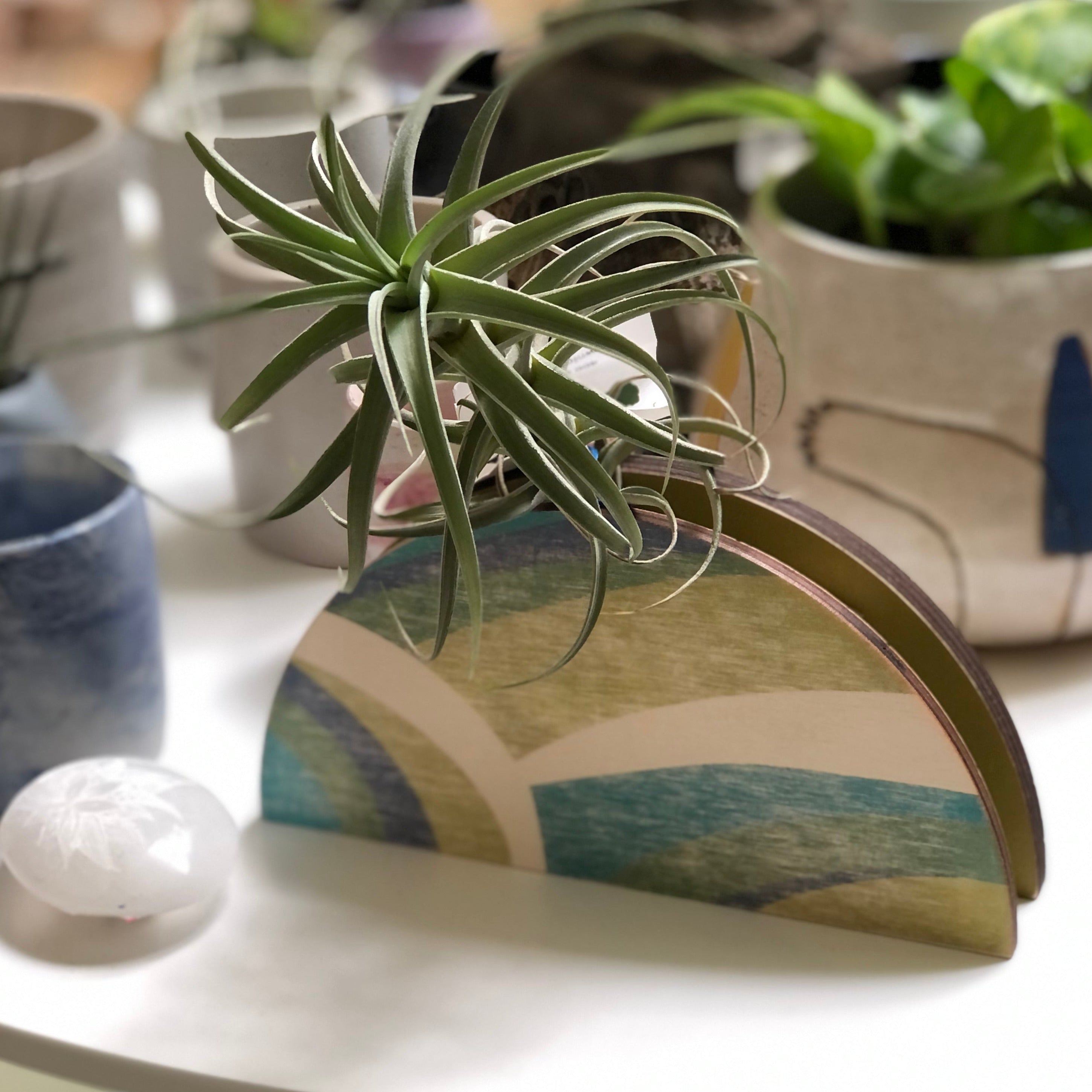 air plant wall vase Abstract Dome Wall Vase Planter – stacy wong