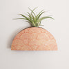 Mod Curves Dome Wall Vase Planter