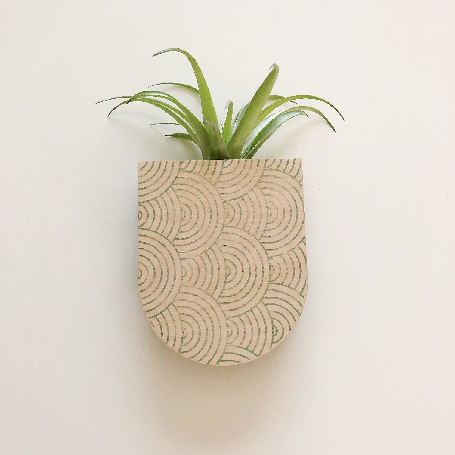 succulent wall pockets Mod Curves Pocket Wall Planter Vase – stacy wong
