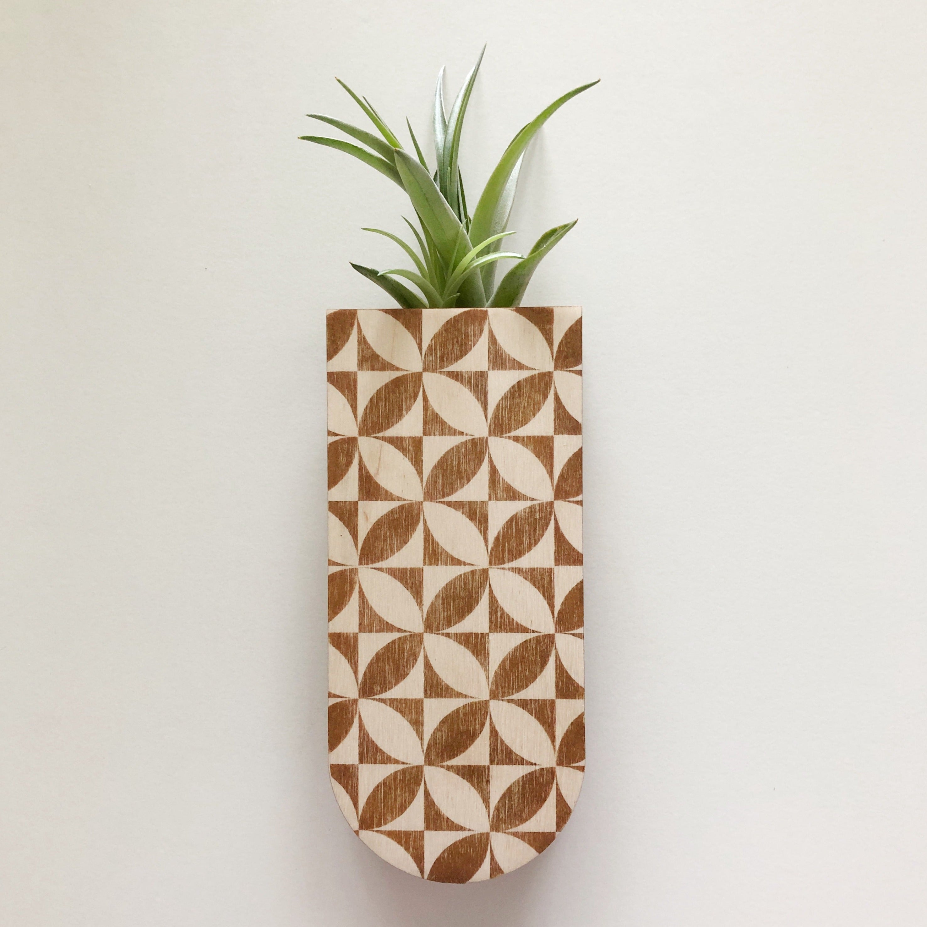skinny plant pot Petals Skinny Pocket Wall Planter Vase – stacy wong