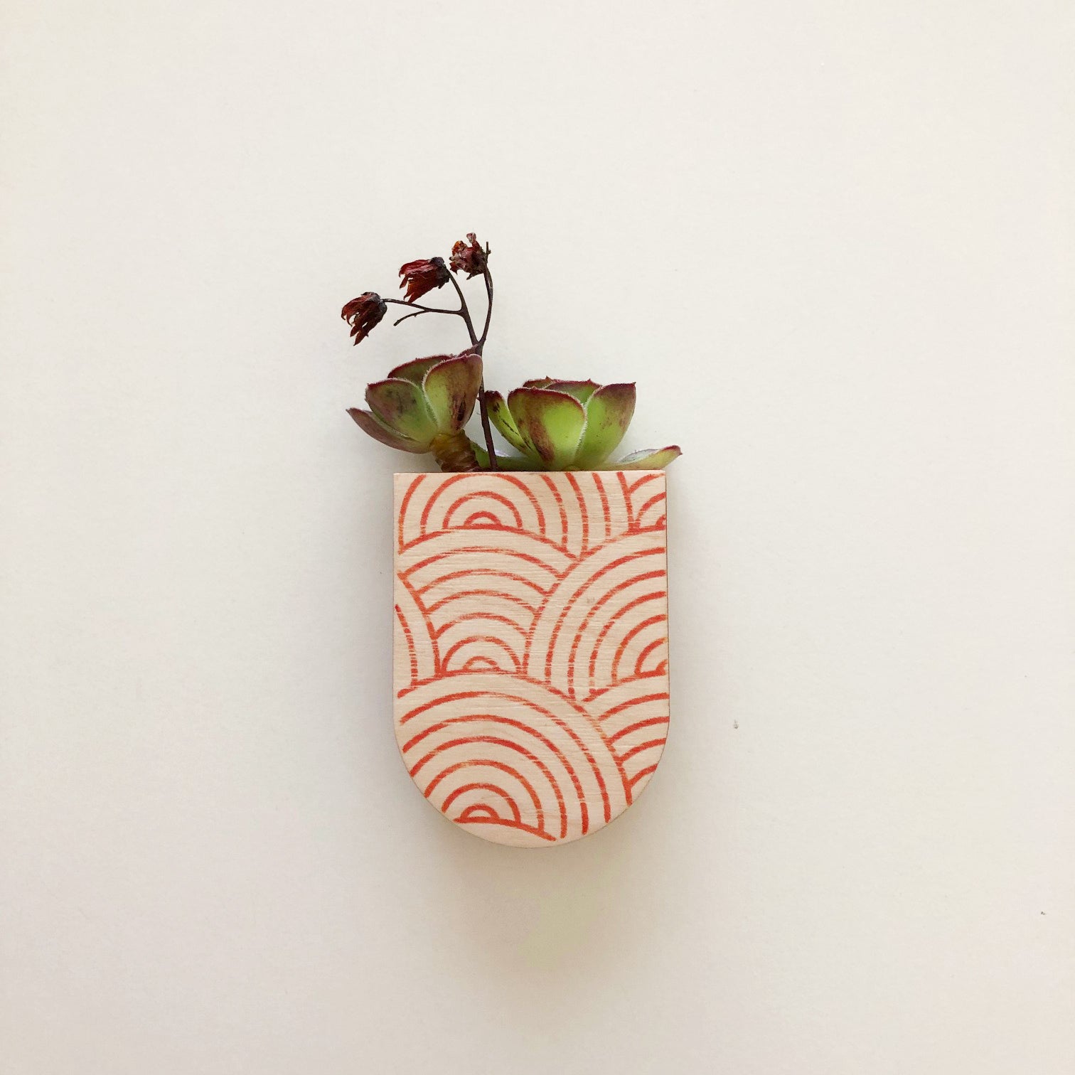 magnetic succulent planter Mini Magnetic Planter Pot – stacy wong