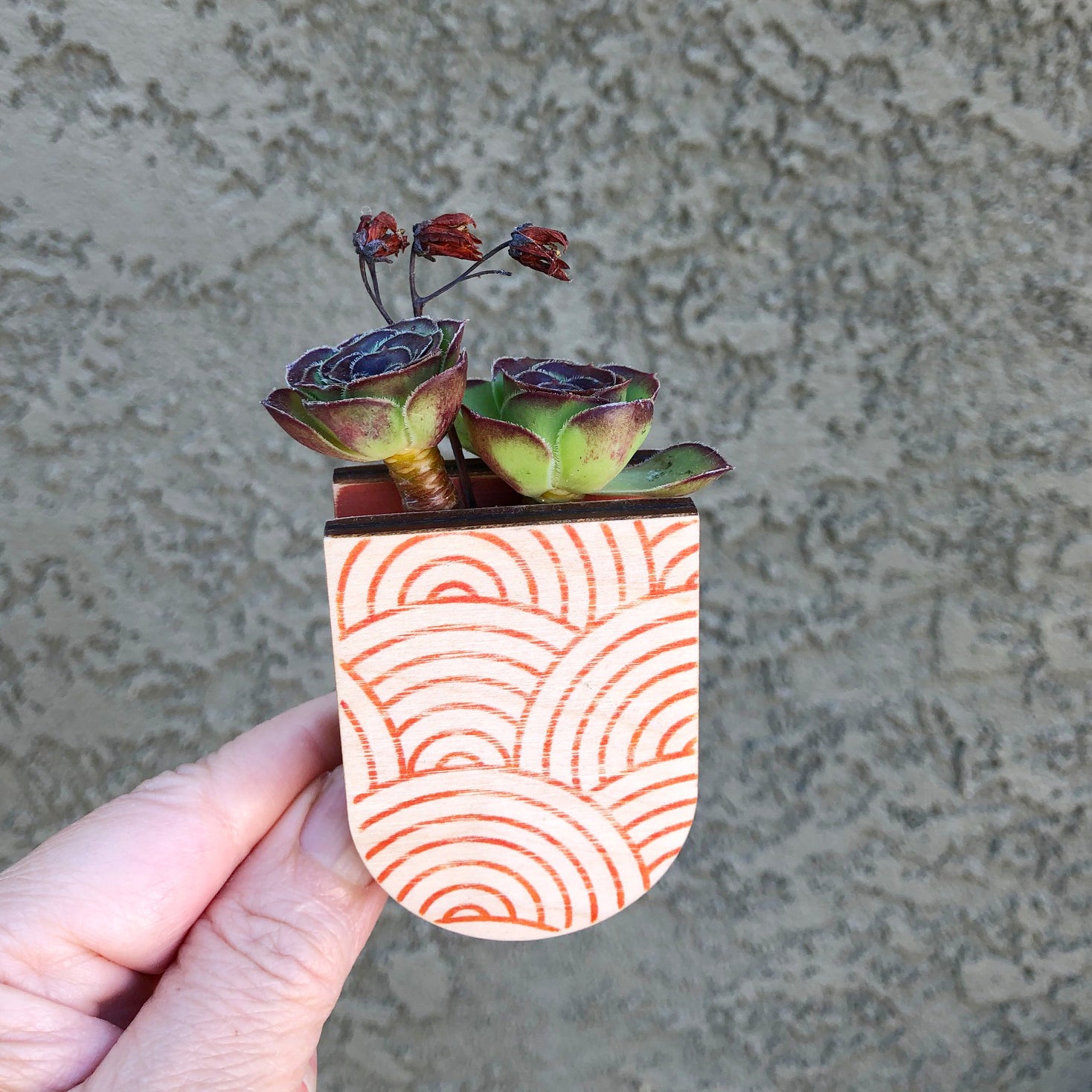 small magnetic plant pots Mini Magnetic Planter Pot – stacy wong